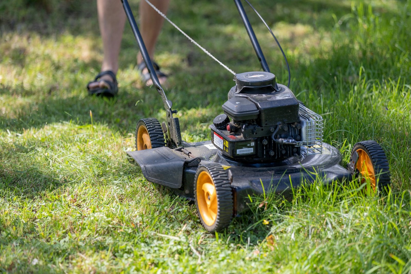 Freshly mowed green lawn with crisp edges